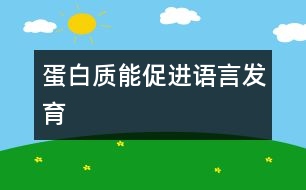 蛋白質(zhì)能促進(jìn)語言發(fā)育