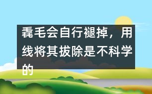 毳毛會自行褪掉，用線將其拔除是不科學(xué)的