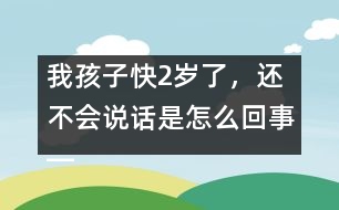 我孩子快2歲了，還不會說話是怎么回事――林茅回答