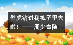 “壁虎”鉆進(jìn)我褲子里去啦！――周少青隨筆兩篇