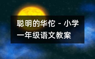 聰明的華佗 - 小學(xué)一年級語文教案