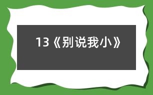 13《別說我小》