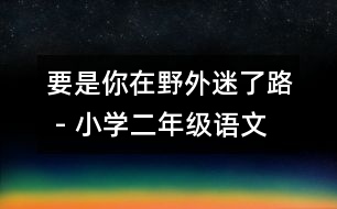 要是你在野外迷了路 - 小學(xué)二年級(jí)語文教案