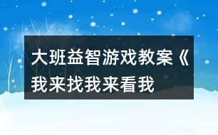 大班益智游戲教案《我來找、我來看、我來玩》