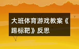 大班體育游戲教案《踢標(biāo)靶》反思