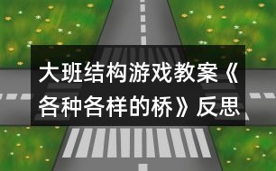 大班結構游戲教案《各種各樣的橋》反思