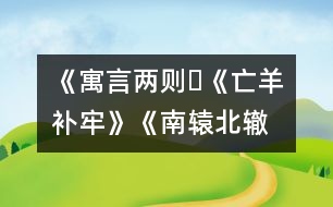 《寓言兩則?《亡羊補牢》、《南轅北轍》》教學(xué)設(shè)計,教案