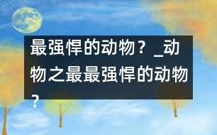 最強(qiáng)悍的動物？_動物之最：最強(qiáng)悍的動物？