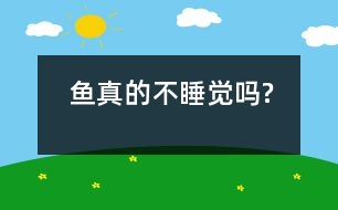 魚真的不睡覺(jué)嗎?