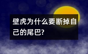 壁虎為什么要斷掉自己的尾巴?