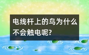 電線桿上的鳥為什么不會(huì)觸電呢?