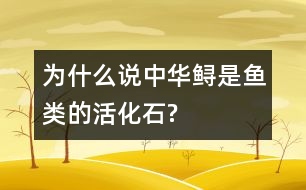 為什么說中華鱘是魚類的活化石?