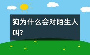 狗為什么會(huì)對(duì)陌生人叫?