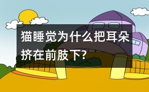 貓睡覺為什么把耳朵擠在前肢下?