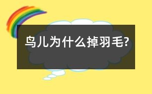 鳥(niǎo)兒為什么掉羽毛?