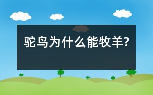 駝鳥為什么能牧羊?