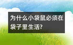 為什么小袋鼠必須在袋子里生活?