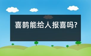 喜鵲能給人報喜嗎?