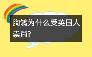 胸鴝為什么受英國人崇尚?