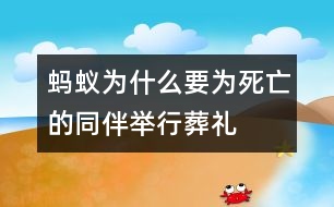 螞蟻為什么要為死亡的同伴舉行“葬禮”?