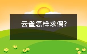 云雀怎樣求偶?