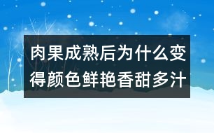 肉果成熟后為什么變得顏色鮮艷香甜多汁？