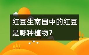 “紅豆生南國”中的紅豆是哪種植物？