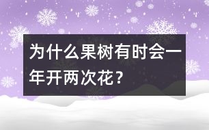 為什么果樹有時(shí)會(huì)一年開兩次花？