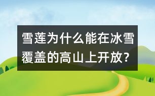 雪蓮為什么能在冰雪覆蓋的高山上開放？