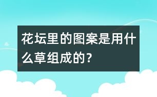 花壇里的圖案是用什么草組成的？