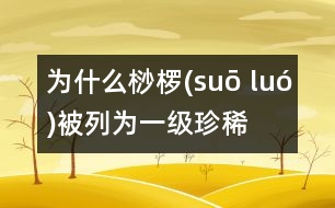 為什么桫欏(suō luó)被列為一級珍稀植物？