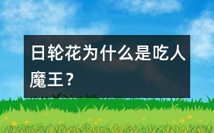 日輪花為什么是“吃人魔王”？