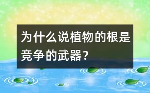 為什么說植物的根是競爭的武器？