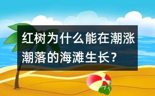 紅樹為什么能在潮漲潮落的海灘生長(zhǎng)？