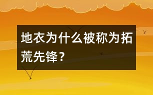 地衣為什么被稱(chēng)為拓荒先鋒？