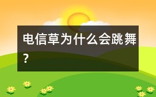 電信草為什么會(huì)跳舞？