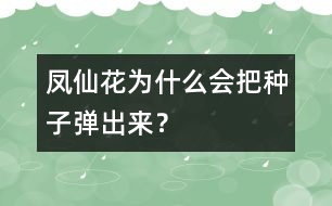 鳳仙花為什么會把種子彈出來？