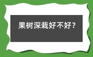 果樹深栽好不好？