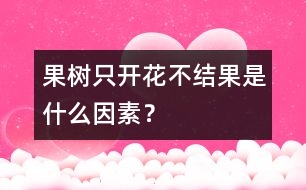 果樹只開花不結果是什么因素？