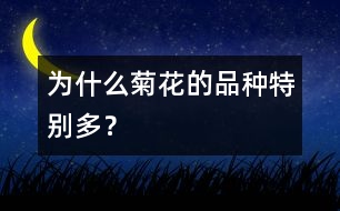 為什么菊花的品種特別多？