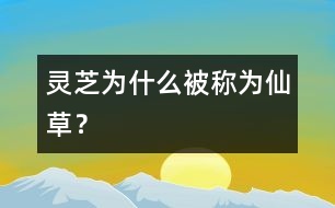 靈芝為什么被稱為“仙草”？