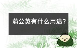 蒲公英有什么用途？