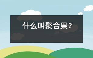 什么叫聚合果？