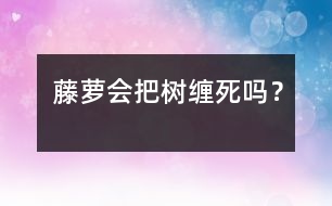 藤蘿會把樹纏死嗎？