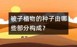 被子植物的種子由哪些部分構(gòu)成？