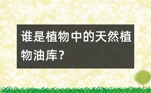 誰是植物中的“天然植物油庫”？