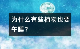 為什么有些植物也要“午睡”？