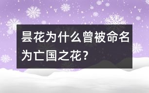 曇花為什么曾被命名為“亡國之花”？