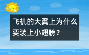 飛機(jī)的大翼上為什么要裝上小翅膀？