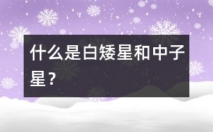 什么是白矮星和中子星？